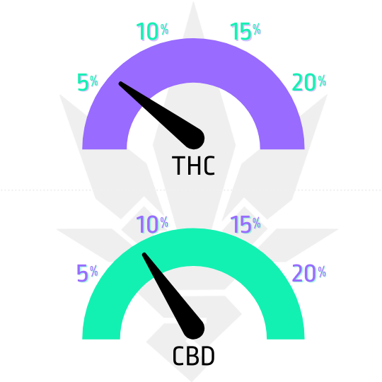 semena marihuany Pain od Cannapio ukazatel CBD a THC